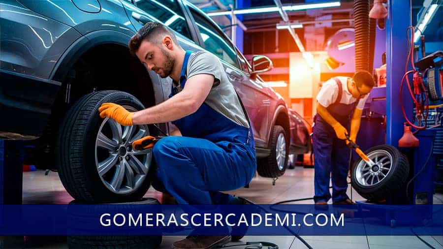 gomeras en bayamon puerto rico cerca de mi