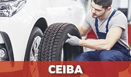 Gomeras En Ceiba
