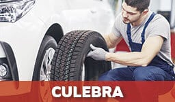 Gomeras En Culebra