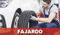 Gomeras En Fajardo