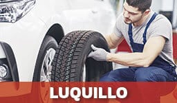 Gomeras En Luquillo