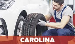 Gomeras En Carolina